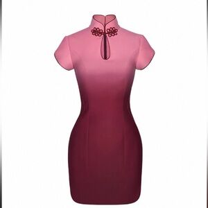 Poem Bangkok Chic Pink and Burgundy Mini Dress